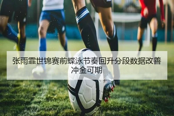 张雨霏世锦赛前蝶泳节奏回升分段数据改善冲金可期 - XINGKONGSPORTS